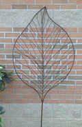 Ash Leaf Trellis