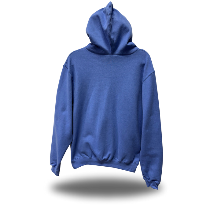 BAD BITCH ICE BLUE HOODIE