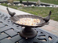 Bird Feeder