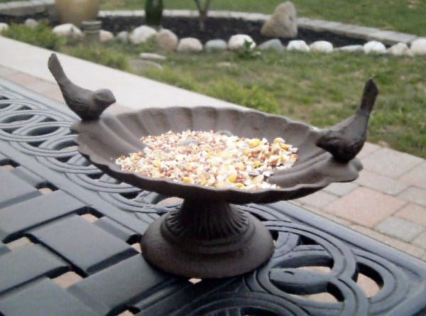 Bird Feeder