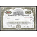 Custer Channel Wing Corporation Stock Certificate