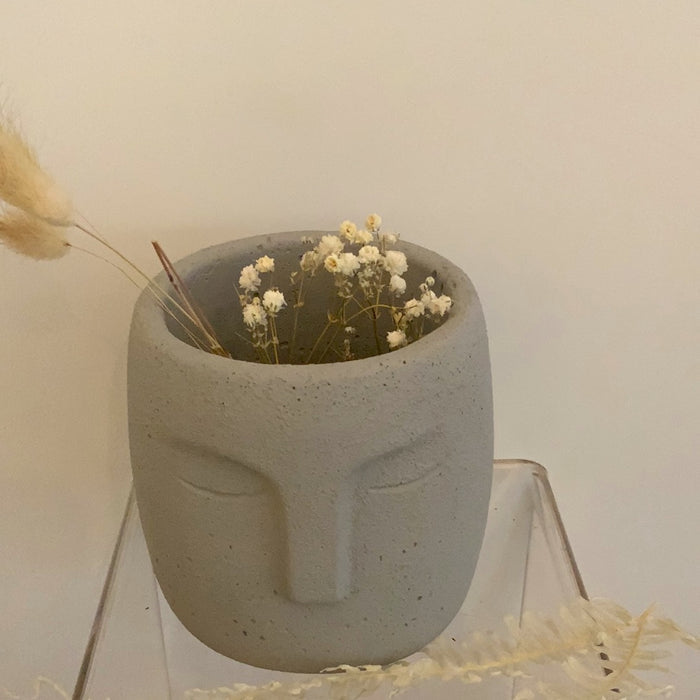 Grey Face Planter