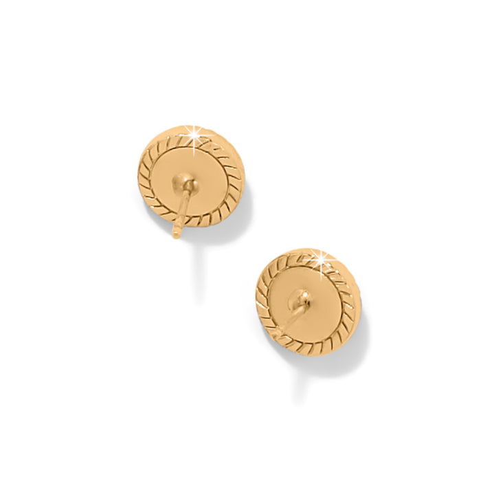Illumina Celeste Dome Post Earrings/Gold