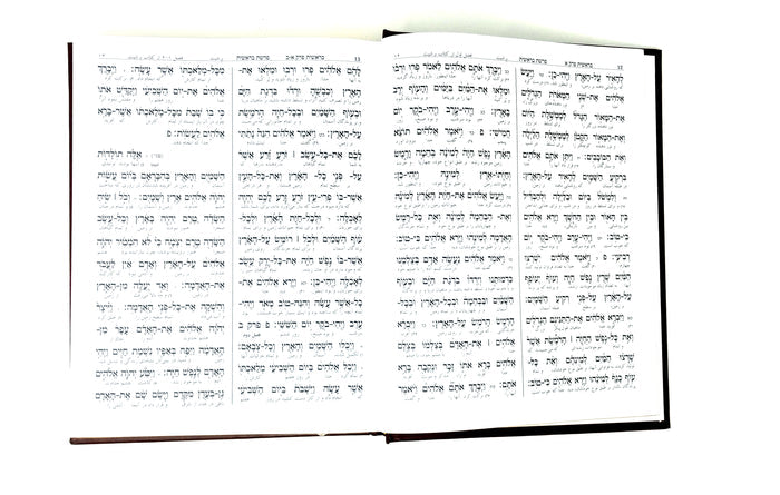 Interlinear Persian Torah Complete - Leather - Mitzvahland.com
