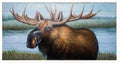 Moose