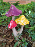 Mushroom Trios, Assorted