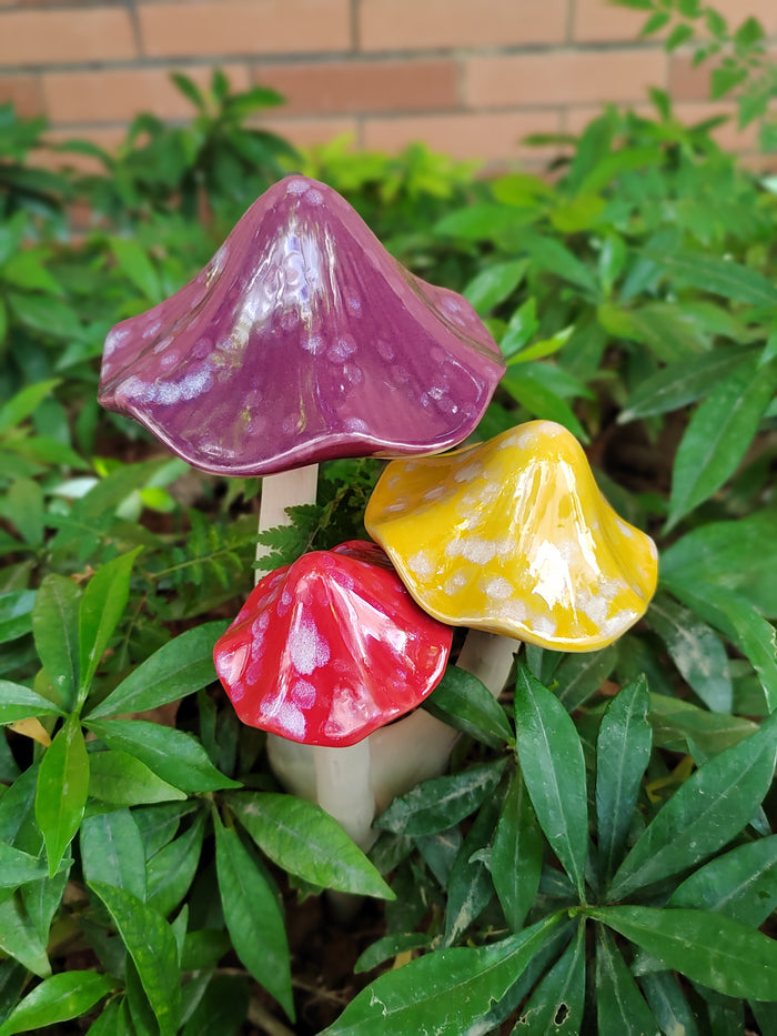 Mushroom Trios, Assorted