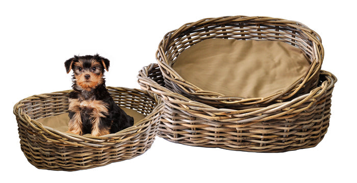 Rattan Pet Bed, s/3