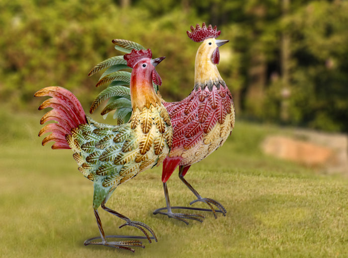 Rooster, Assorted