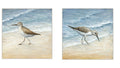 Sandpiper Set
