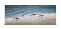 Sandpiper Stroll