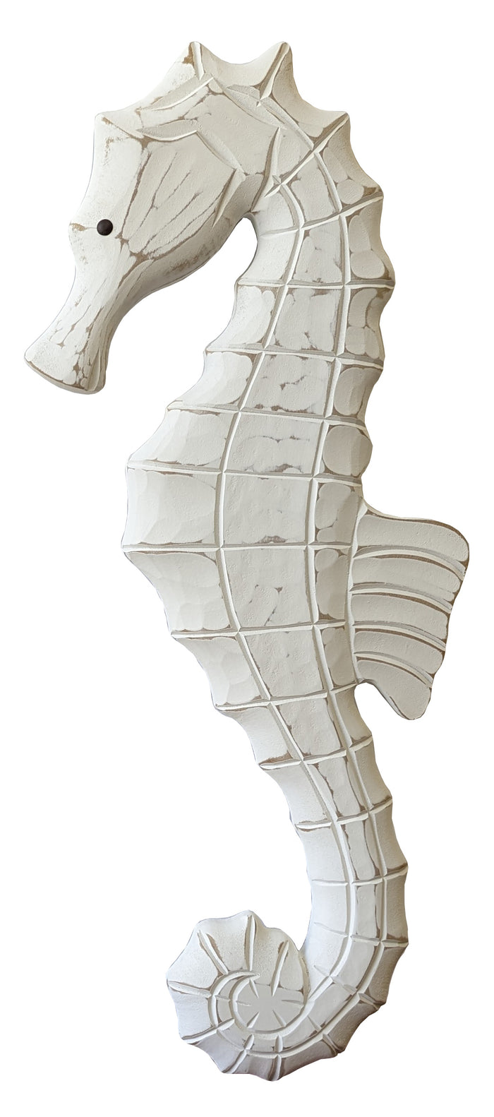 Seahorse, Large