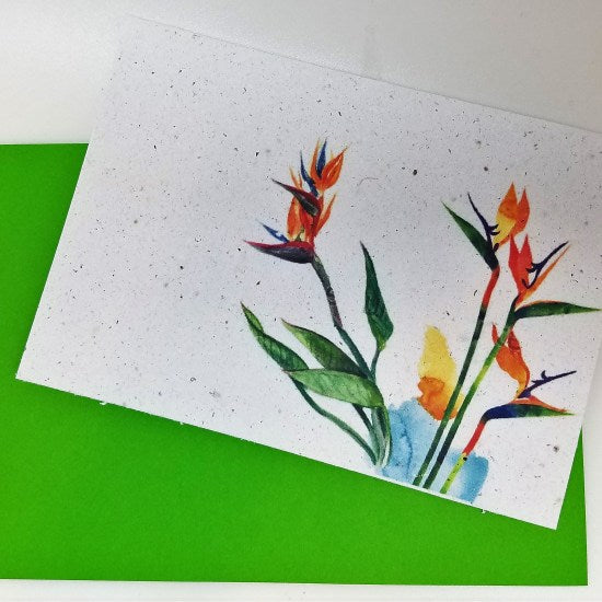 Seed Card