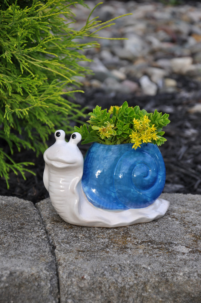 Snail Planter, Assorted