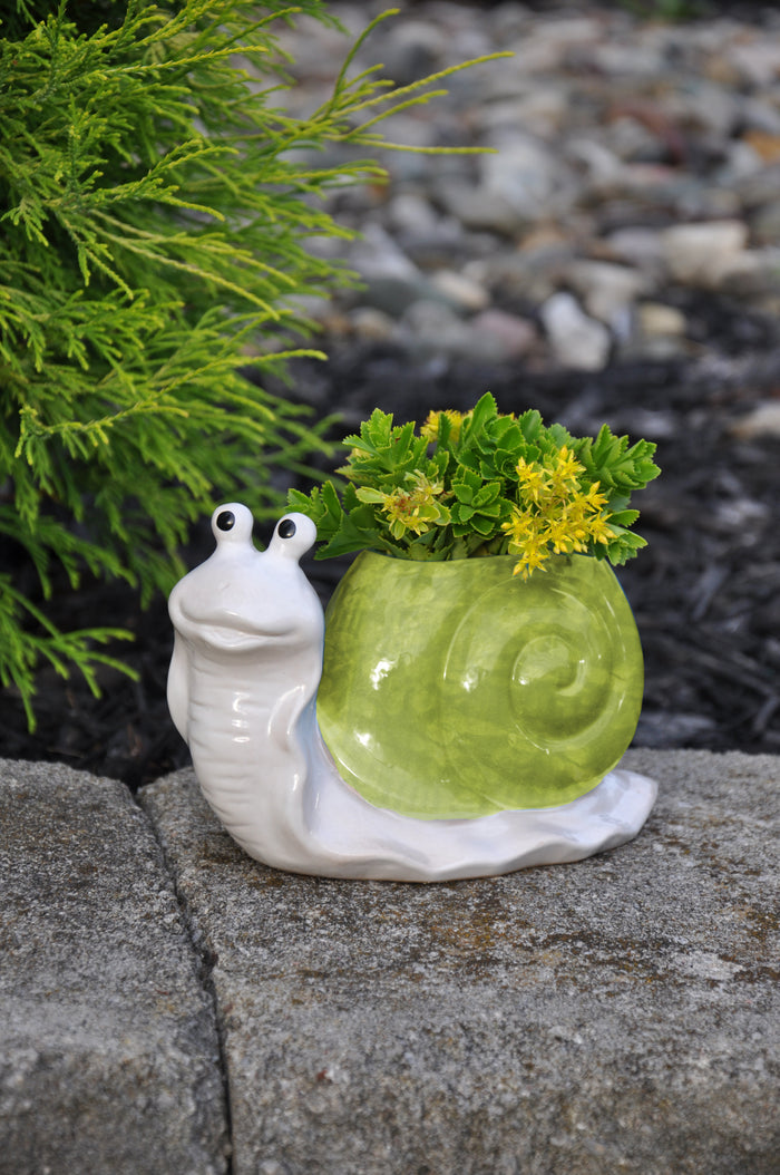 Snail Planter, Assorted