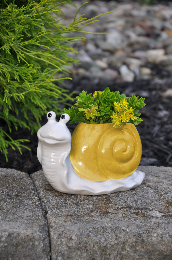Snail Planter, Assorted