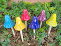 Tall Sun-Drenched Mushrooms