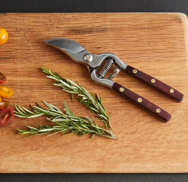 Thai Kitchen and Garden Shears