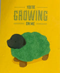 You're Growing on Me
