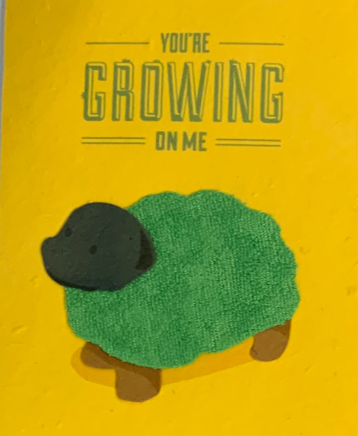 You're Growing on Me